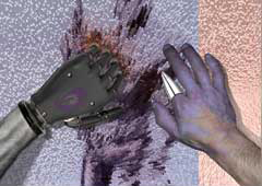 transformation mains