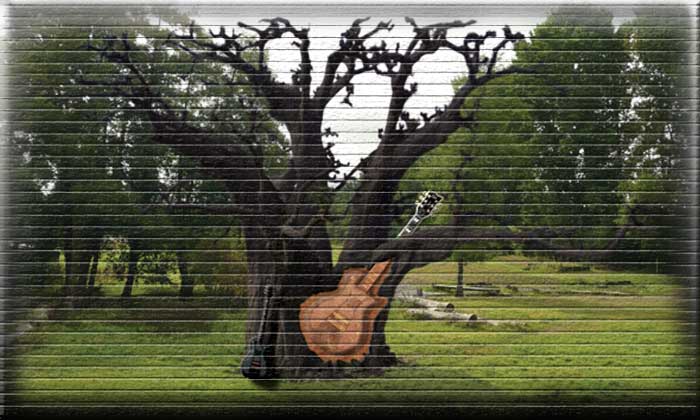 une guitare sculptée dans un tronc