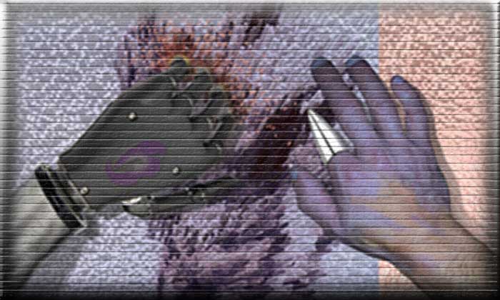 transformation d'une main